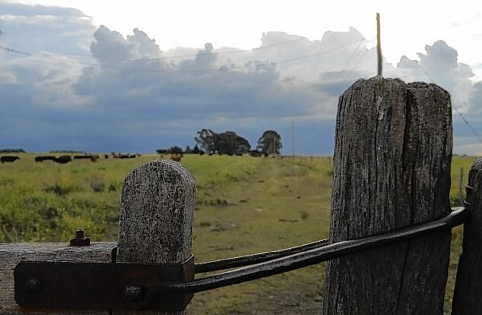 Delitos rurales: Media sanción al proyecto para la creación de una unidad fiscal especial