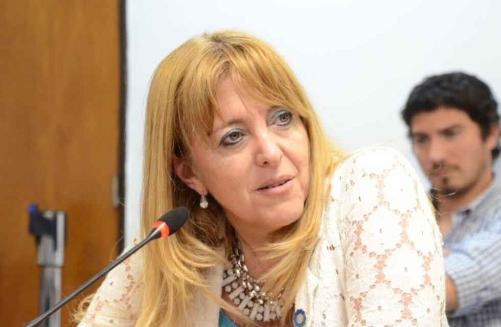 Una diputada mendocina, la que más viajó en el Congreso