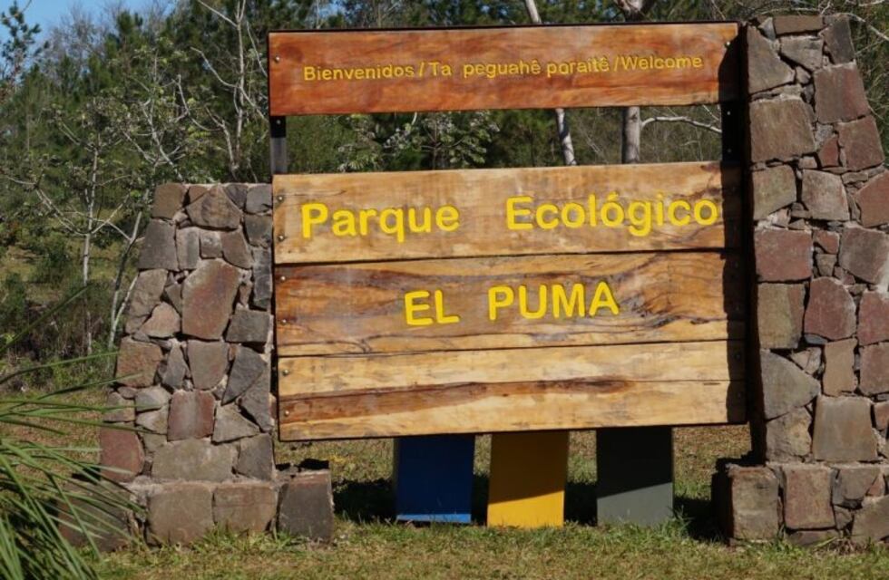 Se plantarán especies nativas en el pasafauna de la autovía Cerro Corá - Santa Ana