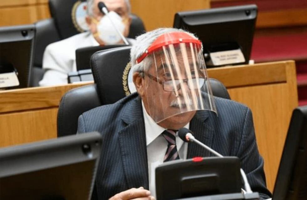 Polémica: legisladores utilizaron máscaras donadas para el personal sanitario