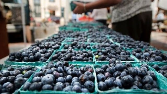 El programa prevé alcanzar el objetivo general en aproximadamente doce años
