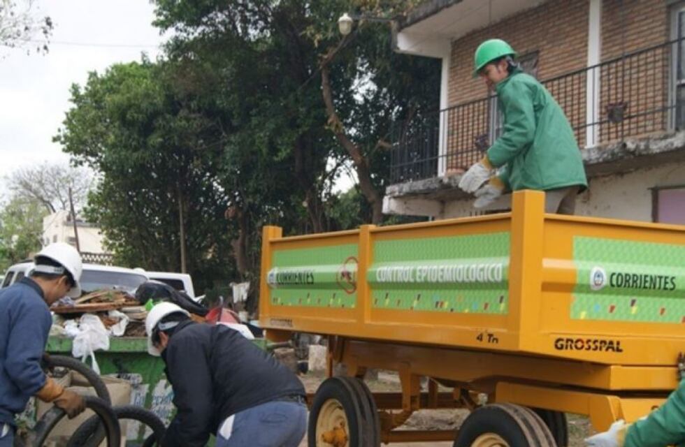 Con 147 casos de dengue, Salud Pública afirma que eliminación de los criaderos es la única prevención