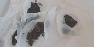 Marihuana secuestrada en el penal de San Luis