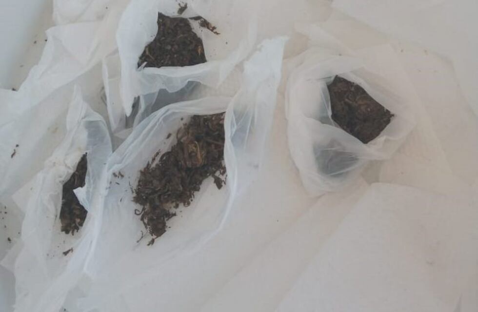 San Luis: quiso ingresar droga y lo agarraron