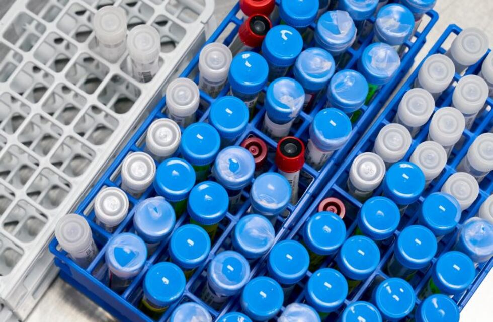 Coronavirus: hay 14 casos activos en Rada Tilly