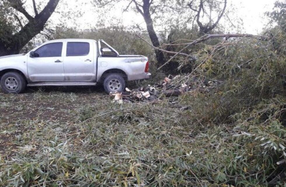Un grupo de personas quedó imputado por intentar robar leña de una chacra