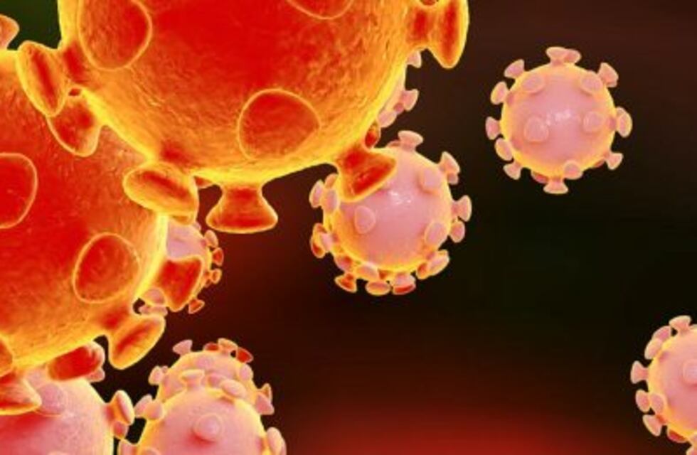 Coronavirus: Mendoza registró 292 casos positivo y seis personas fallecieron