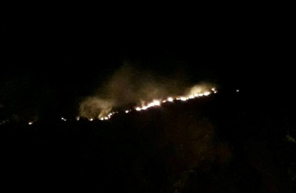 Bomberos controlaron un incendio forestal en Carlos Paz