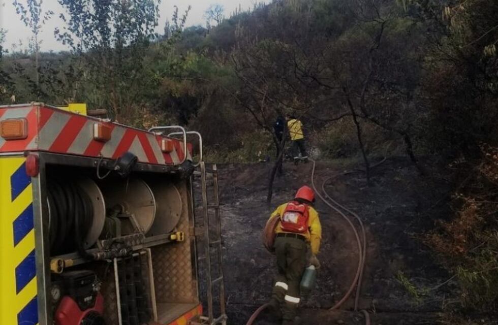 Intensificarán los monitoreos de incendios forestales en la provincia