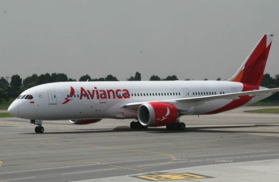 Aeronavegantes denunció que el tránsito aéreo está totalmente descontrolado