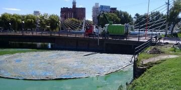 Continúan trabajando en la limpieza del lago San Roque