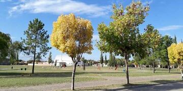 Relevamiento de espacios verdes en Santa Rosa (Municipalidad de Santa Rosa)
