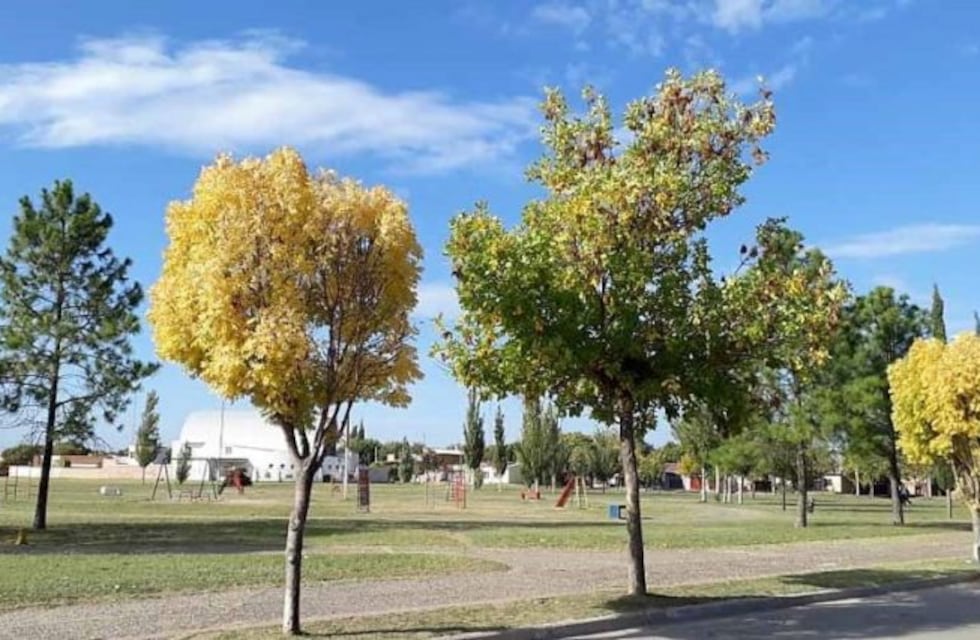 Una tesis universitaria revela el déficit de espacios verdes en Santa Rosa