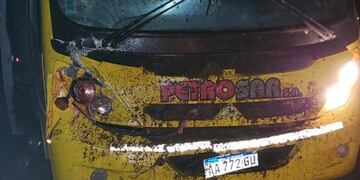 El colectivo embistió al animal en la ruta\u002E