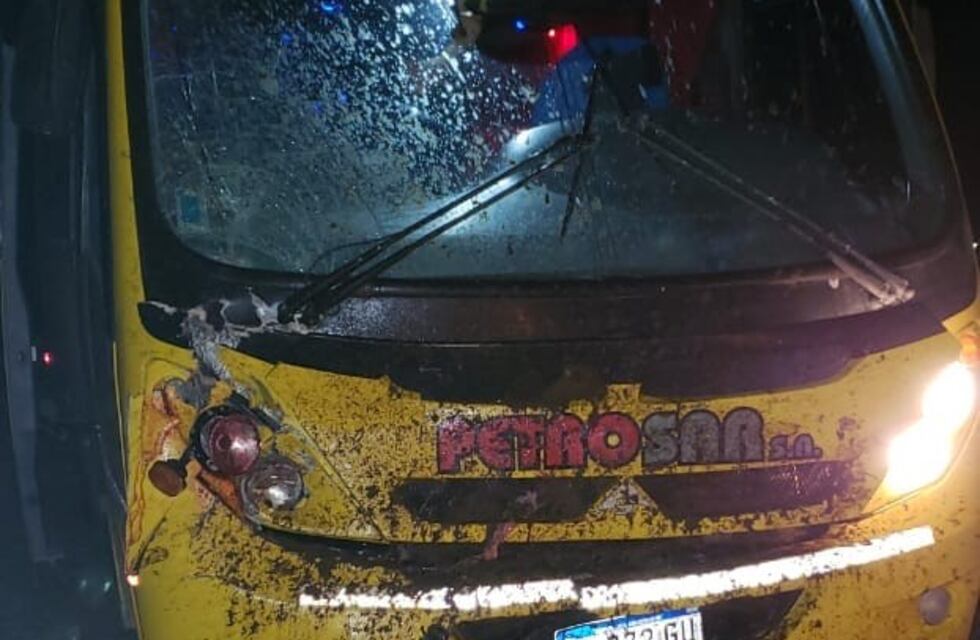 Colectivo de transporte de personal petrolero impactó contra un caballo