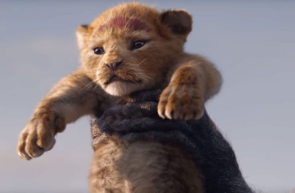 Un mono y un pequeño león recrearon una escena de 'El rey león' pero no hubo final feliz