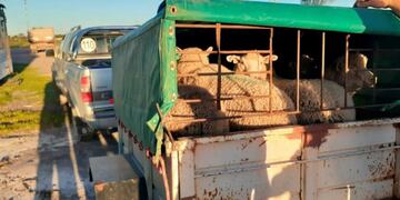 Echaron a un funcionario de La Adela (Diario Textual)