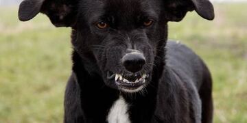 El chico presentó heridas en sus glúteos y brazos. Imagen ilustrativa.