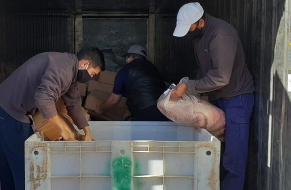 Bahía: decomisaron más de mil kilos de carne en condiciones irregulares