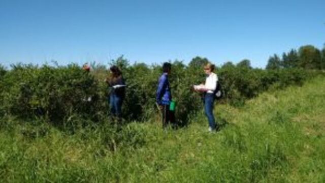 La inspecciu00f3n se llevu00f3 a cabo en noviembre pasado.