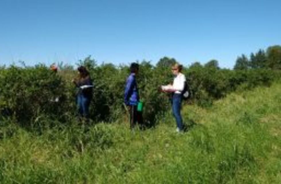 La Provincia denunció penalmente un caso de trabajo infantil en Santa Teresa