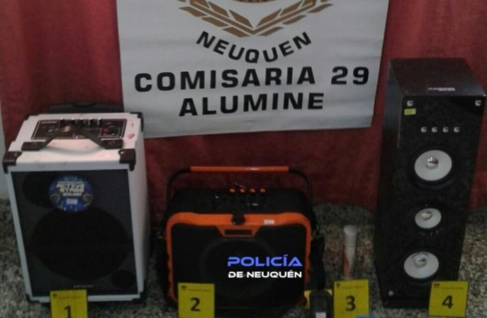 Aluminé: Robaron y fueron demorados