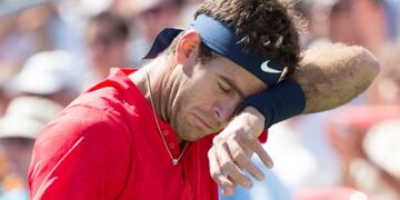 Juan Martin del Potro from Argentina wipes his face during his match against Denis Shapovalov of Canada during the Rogers Cup men’s tennis tournament, Wednesday, Aug\u002E 9, 2017 in Montreal\u002E (Paul Chiasson/The Canadian Press via AP) montreal canada juan martin del potro tenis torneo copa rogers master 1000 montreal tenis tenistas