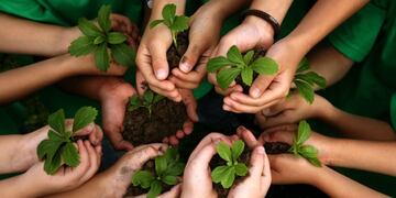 Semana del Ambiente\u002E