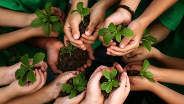 Semana del Ambiente\u002E