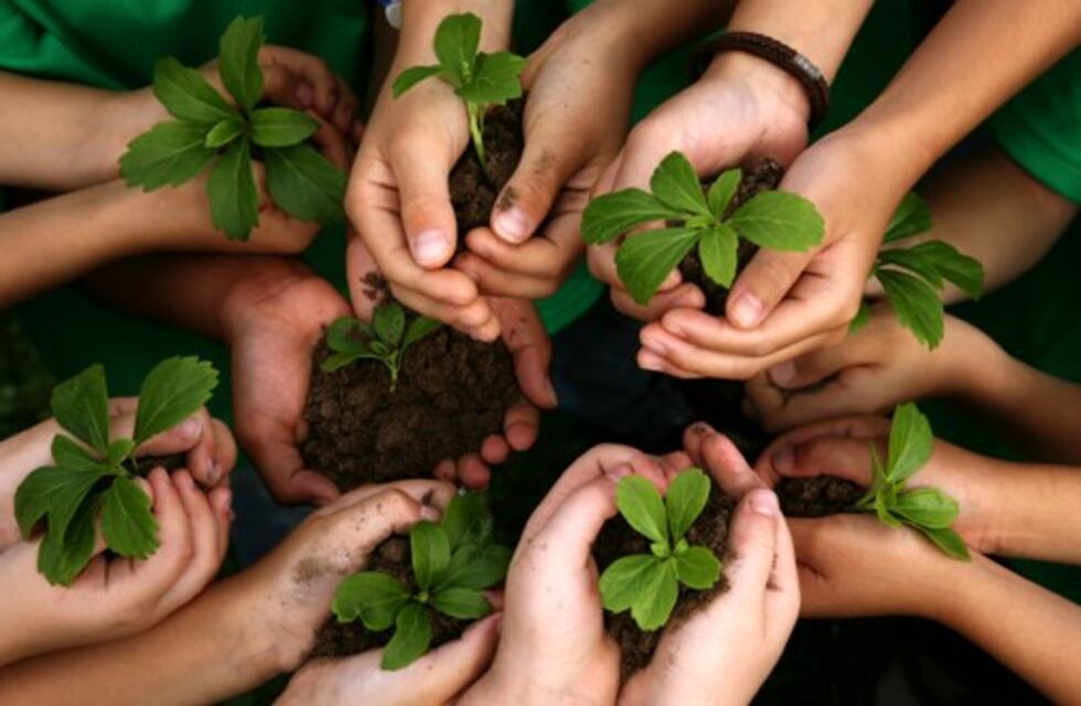 Más de mil niños prometerán protección y respeto al ambiente en Salta