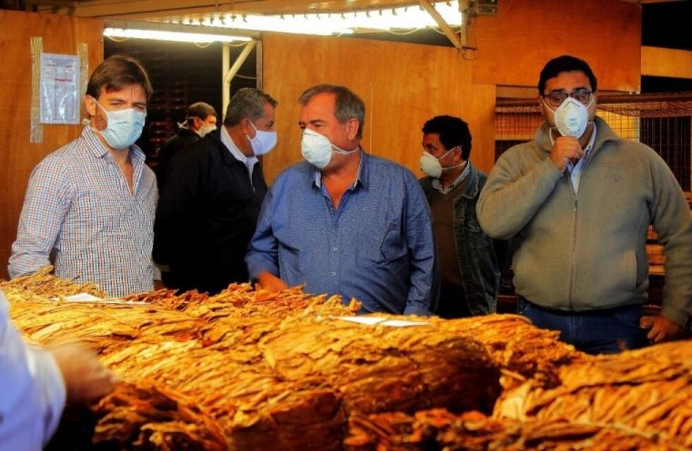 Este viernes se abonará el cuarto pago por compensación a tabacaleros de Misiones