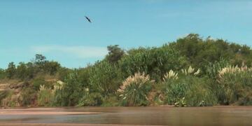 Reserva en Río Cuarto