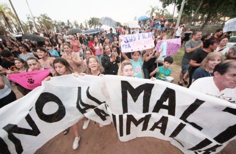 Marcha por el perro asesinado de un balazos por su dueño