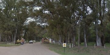 Vivero forestal Francisco P\u002E Moreno (Foto: munirivadavia\u002Egob\u002Ear)