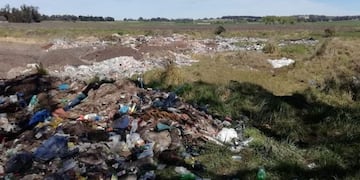Basural en Batán (Foto: 0223)