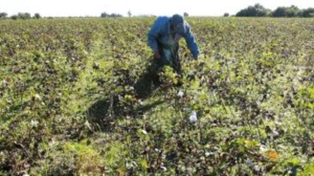 Advierten que los campesinos