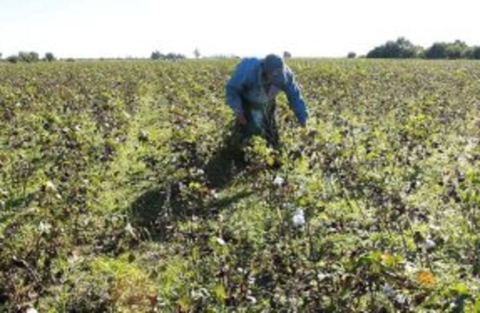 Luego de las inundaciones, piden que el Estado también ayude a los trabajadores rurales