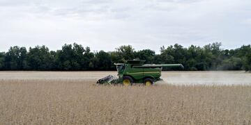 Debatirán sobre la sustentabilidad en el agro (Archivo)\u002E