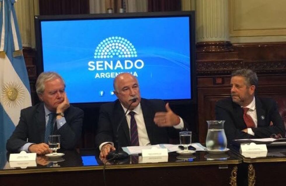 Fiad ratificó su posición en contra del aborto legal