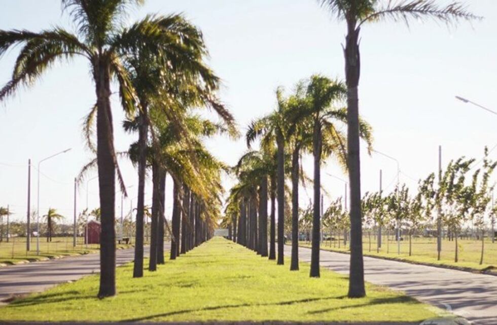 Quisieron hacer un asado y terminaron prendiendo fuego el quincho