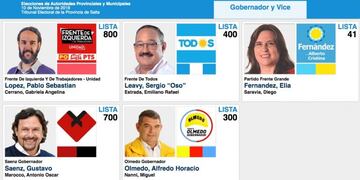 Simulador de voto Elecciones Generales en Salta