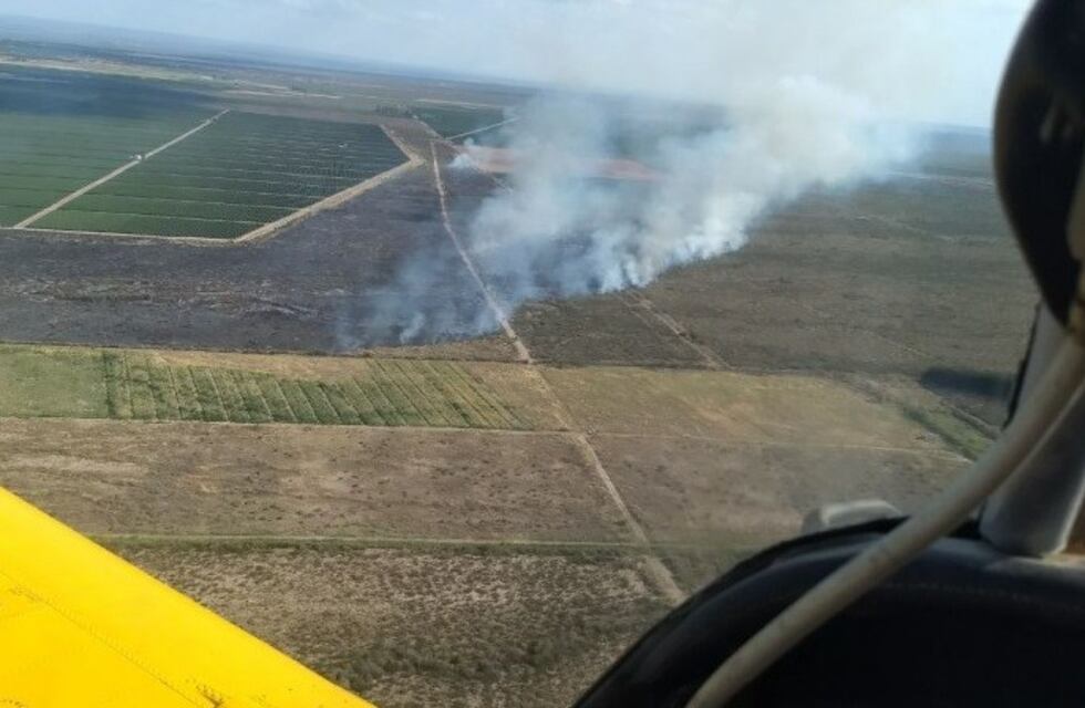 Nuevo incendio en General Alvear: ya hay 1200 hectáreas afectadas