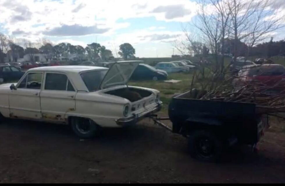 Mataron un ternero y se lo llevaron en el baúl de un auto