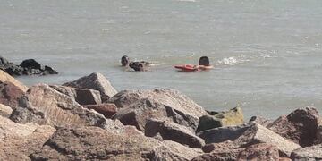 Mark, el perro puntaltense de rescate de costa