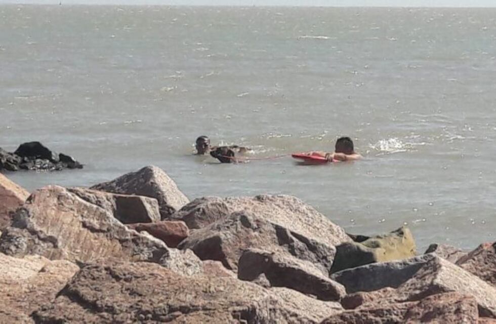 Mark, el perro puntaltense de rescate de costa