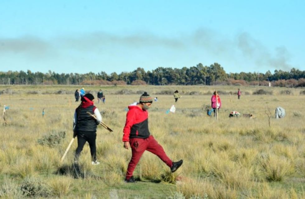 Formularon cargos a tres personas que usurparon terrenos en Viedma