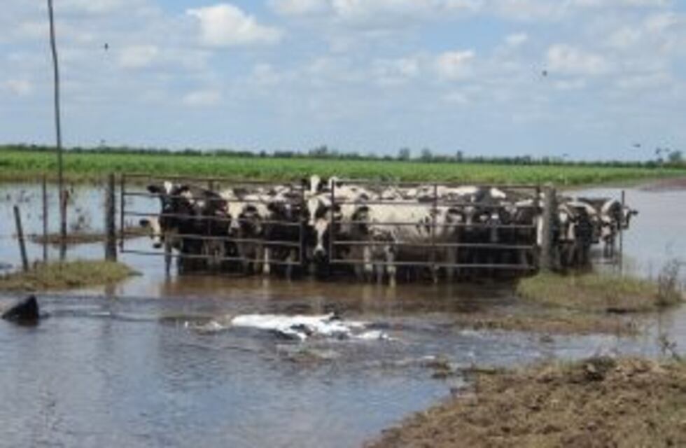 Calculan que en Santa Fe se perdieron 3.500 millones de dólares por la emergencia hídrica desde abril