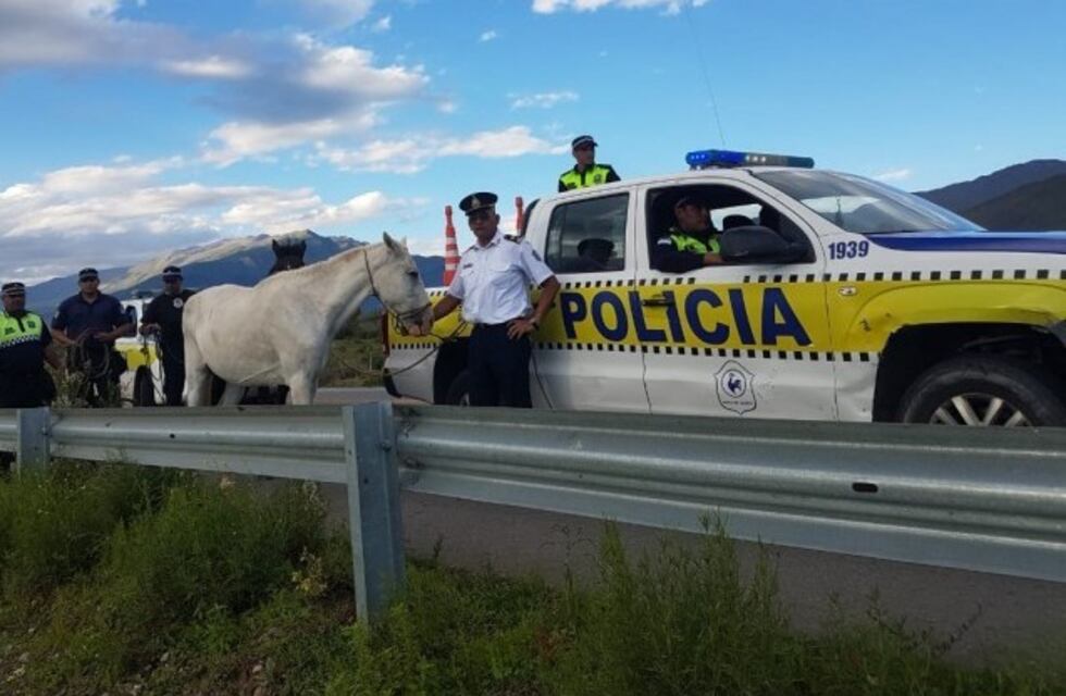 "Verano seguro": intensifican los controles en las rutas a los Valles y San Pedro