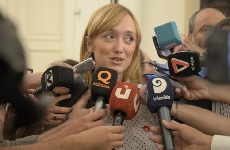 Sagasti propuso una batería de medidas en favor de la vitivinicultura