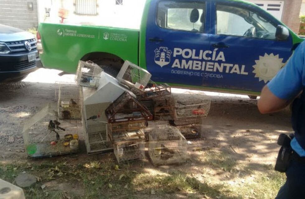 Tenía en su casa aves autóctonas en peligro de extinción